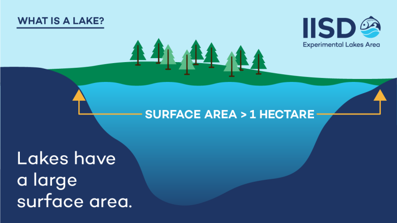 infographic showing size and surface area of a lake from IISD Experimental Lakes Area in Ontario
