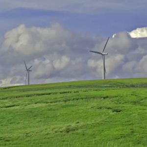 Outdoor modern energy windmills with bright green grass.