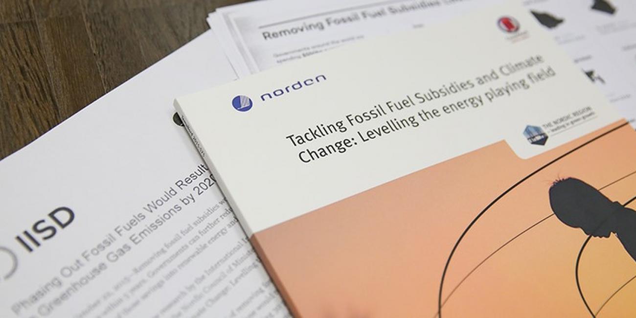 Documents (such as a brochure) for Tackling Fossil Fuel Subsidies and Climate Change: levelling the energy playing field