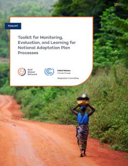 Toolkit for Monitoring, Evaluation, and Learning for National Adaptation Plan Processes report cover showing a woman carrying a bowl along a road in Benin.