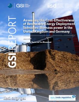 assessing-cost-effectiveness-biomass.jpg