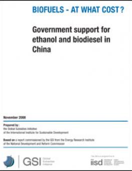 china_biofuels_subsidies.jpg