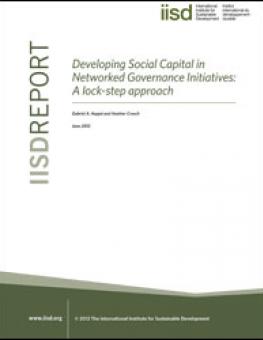 developing_social_capital_network_gov.jpg