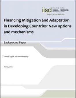financing_mitigation_new_options.jpg