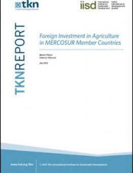 foreign_investment_mercosur.jpg