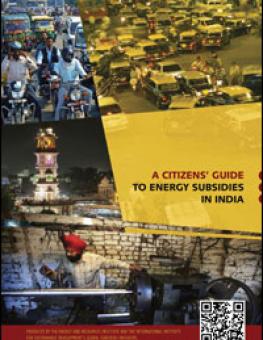 iisd_citizens_guide_india.jpg