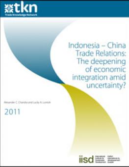 indonesia_china_relations.jpg