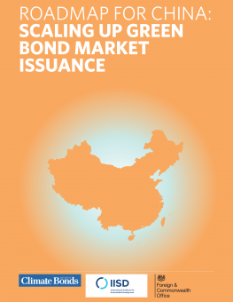 scaling-up-green-bond-market-issuance-en-1.png