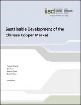 sustainable_development_chinese_copper.jpg