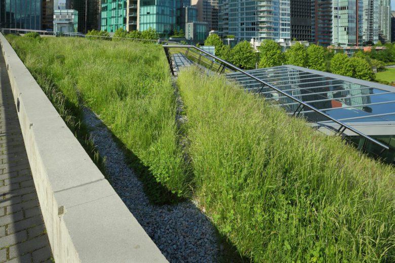 Green roof located in Coal Harbour, Vancouver