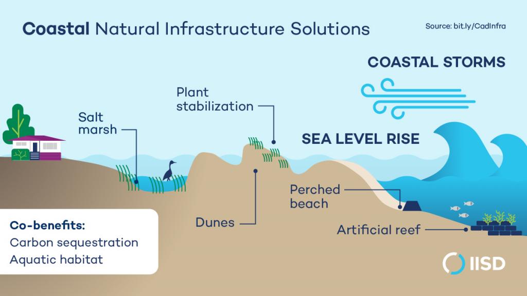 infographic-natural-infrastructure-solutions-canada-coastal