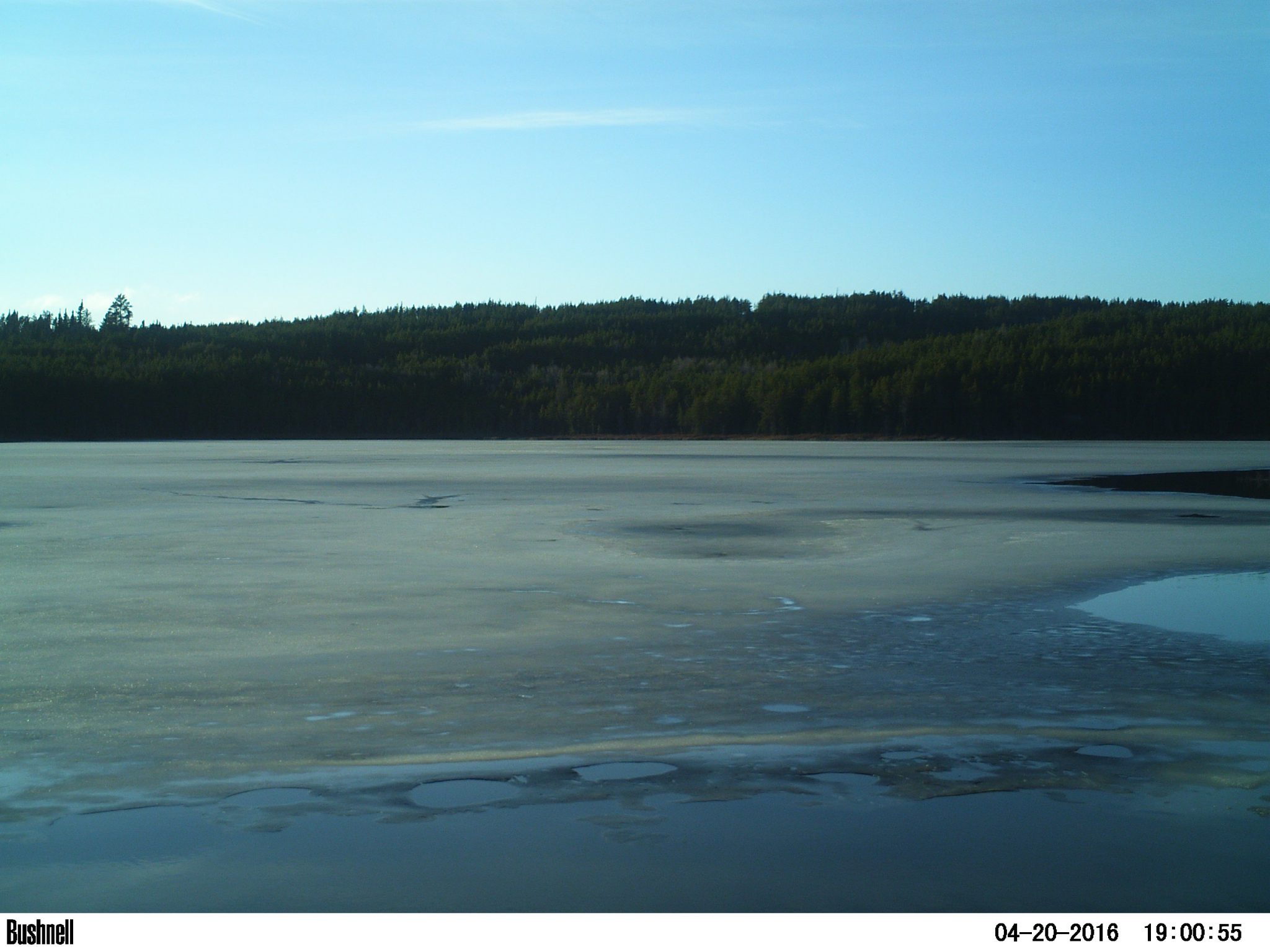 view of a frozen lake in northern ontario