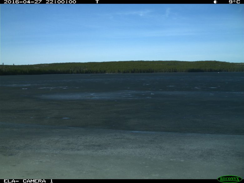Black ice on Lake 239 just prior to break-up (note: time is in UTC).