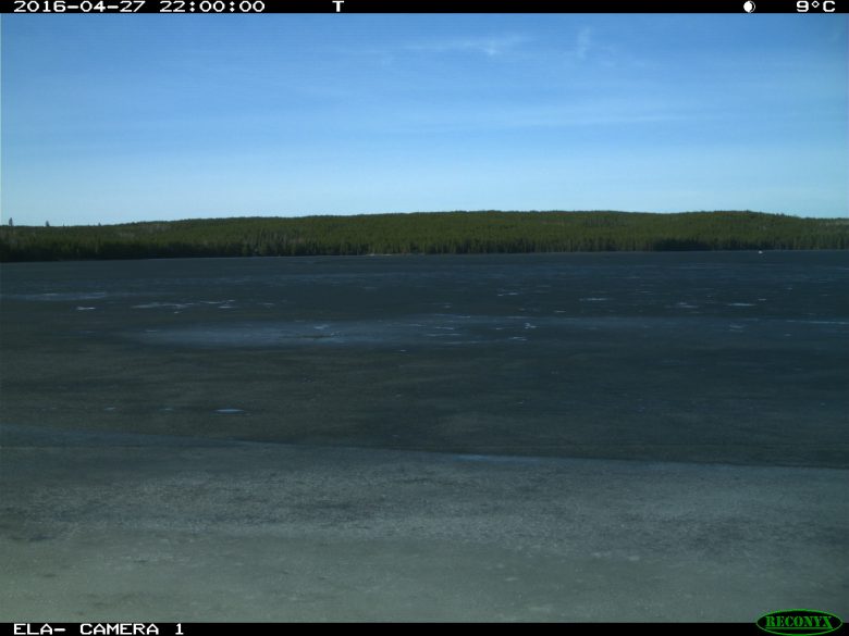 view of freshwater lake in Northern Ontario