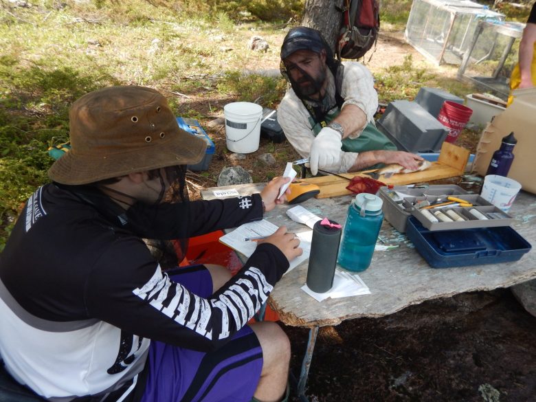 researchers conducting an experiment at IISD Experimental Lakes Area in Ontario