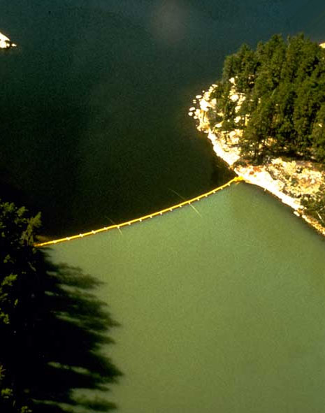 aerial view of a lake at IISD Experimental Lakes Area in Ontario