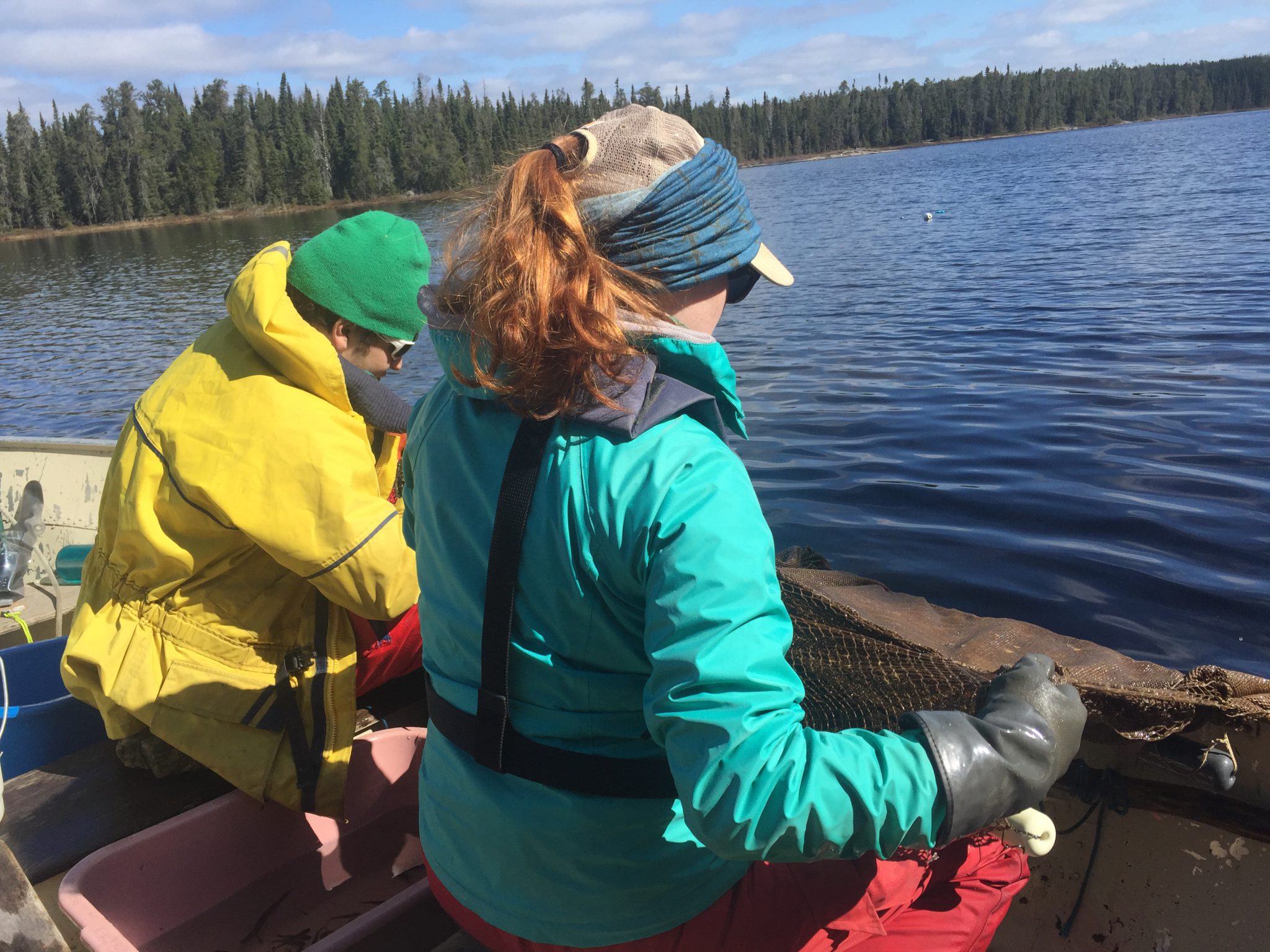 researchers in a boat conducting an experiment at IISD Experimental Lakes Area in Ontario