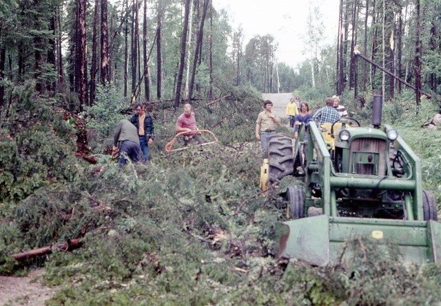 staff from IISD Experimental Lakes Area in Ontario clean up after the great windstorm of 1973