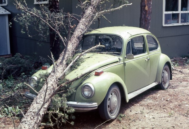 a beetle car with a tree fallen on top of it from the great windstorm of 1973