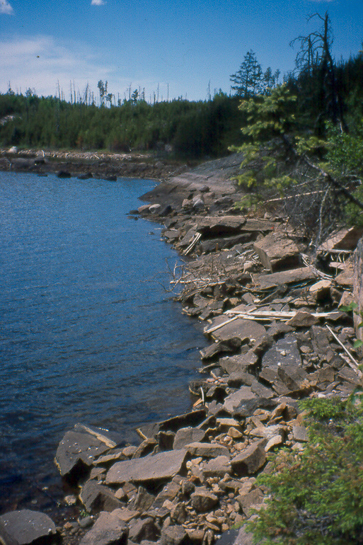 shoreline of a lake at IISD Experimental Lakes Area in Ontario