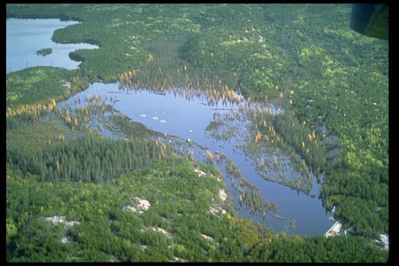 an aerial view of a lake at IISD Experimental Lakes Area in Ontario