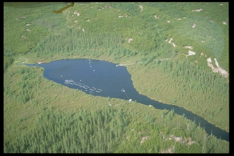 an aerial view of a lake at IISD Experimental Lakes Area in Ontario
