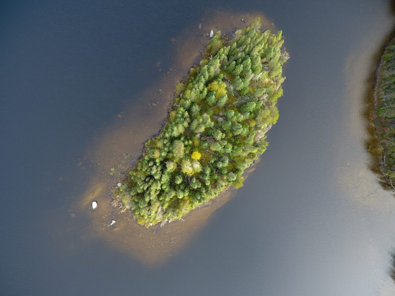 Aerial shot of an island of green trees within a blue freshwater lake.