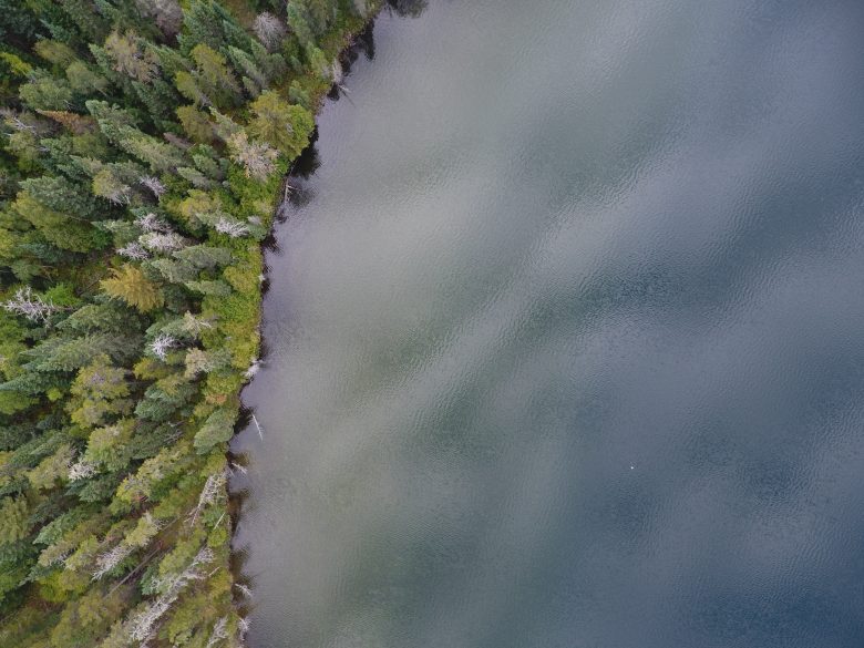Aerial shot of a freshwater lake shoreline with green and yellow trees and misty water