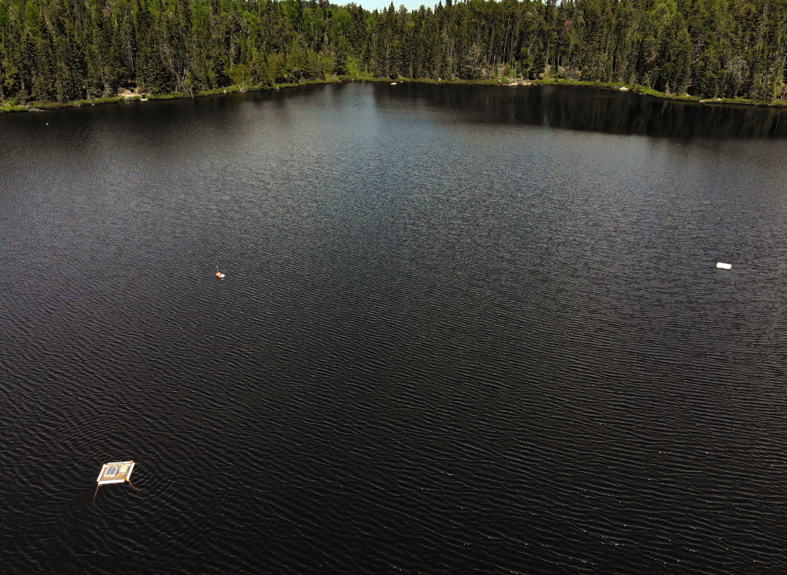 one of the research lakes aerial view at IISD Experimental Lakes Area in Ontario