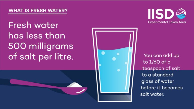 what is fresh water infographic from IISD Experimental Lakes Area in Ontario