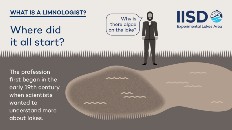 what is a limnologist infographic from IISD Experimental Lakes Area in Ontario