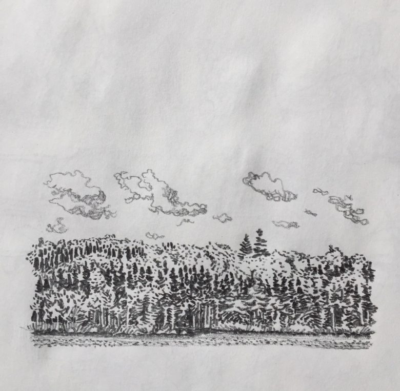 Todd Stewart sketch of boreal forest tree line