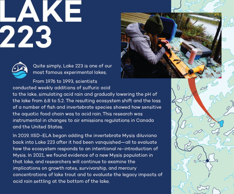 infographic of Lake 223 at IISD Experimental Lakes Area in Ontario