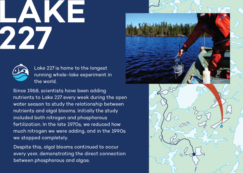 Infographic of Lake 227 at IISD Experimental Lakes Area in Ontario