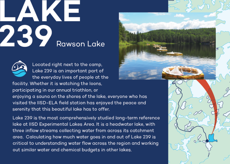 infographic on Lake 239 at IISD Experimental Lakes Area in Ontario