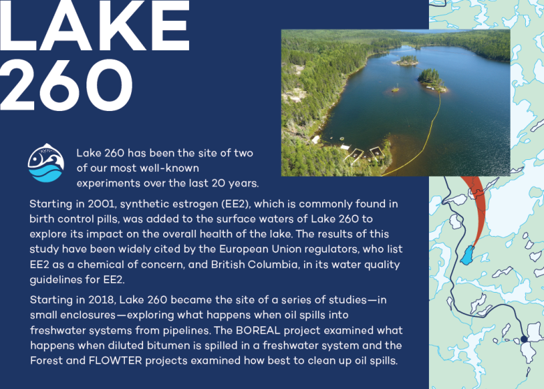 Infographic of Lake 260 at IISD Experimental Lakes Area in Ontario