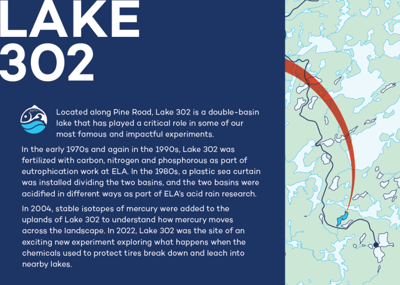 Infographic of Lake 302 at IISD Experimental Lakes Area in Ontario