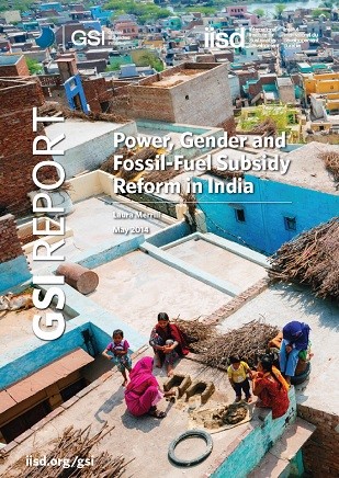 GSI Report Cover for Gender and Power in India.