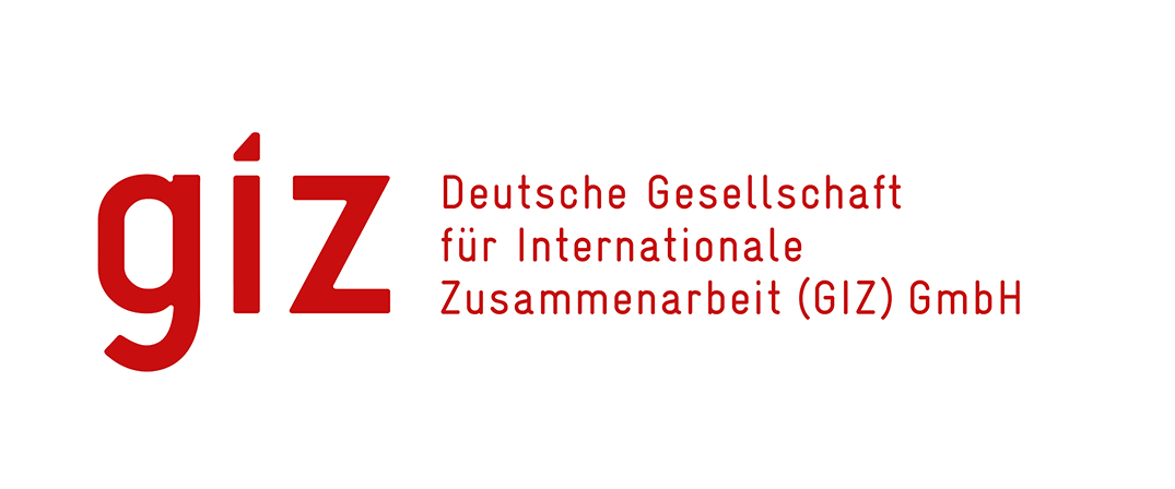 Logo for Deutsche Gesellschaft für Internationale Zusammenarbeit (GIZ)
