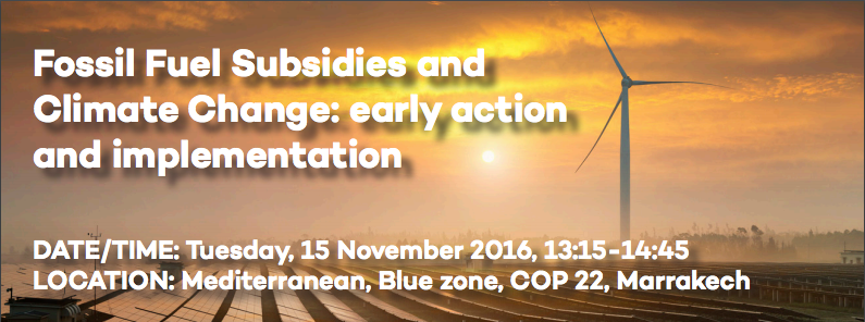 Fossil Fuel Subsidies and Climate Change: early action and implementation poster