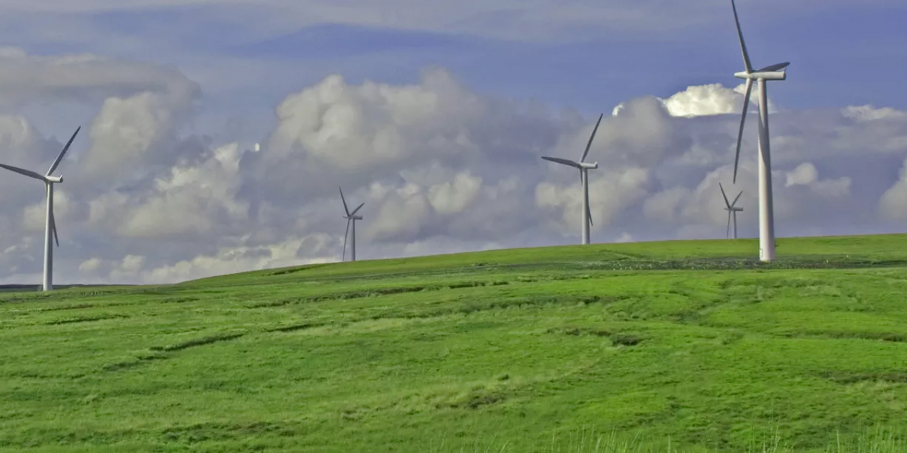 Outdoor modern energy windmills with bright green grass.