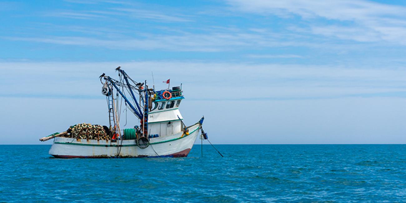 Fisheries Subsidies | GSI
