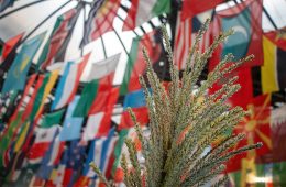 Grain is posed in front of several colourful country flags.