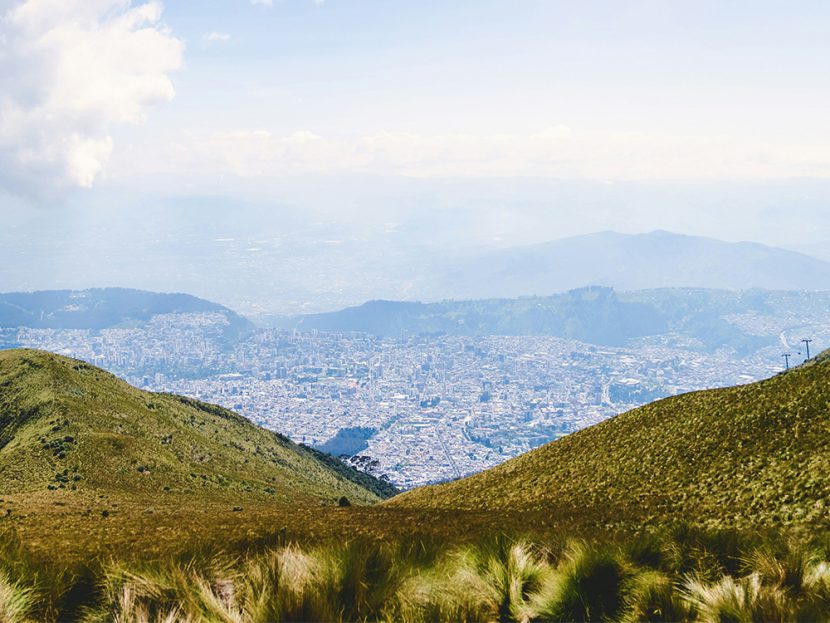 A view of a city from the top of a hill.