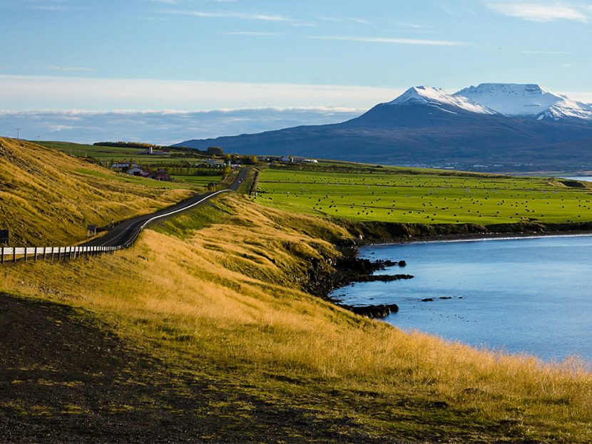 A highway winds through a field next to water and mountains.