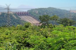 A hydro-electricity dam surrounded by lush vegetation.