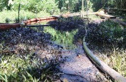 Oil spill in a forest.