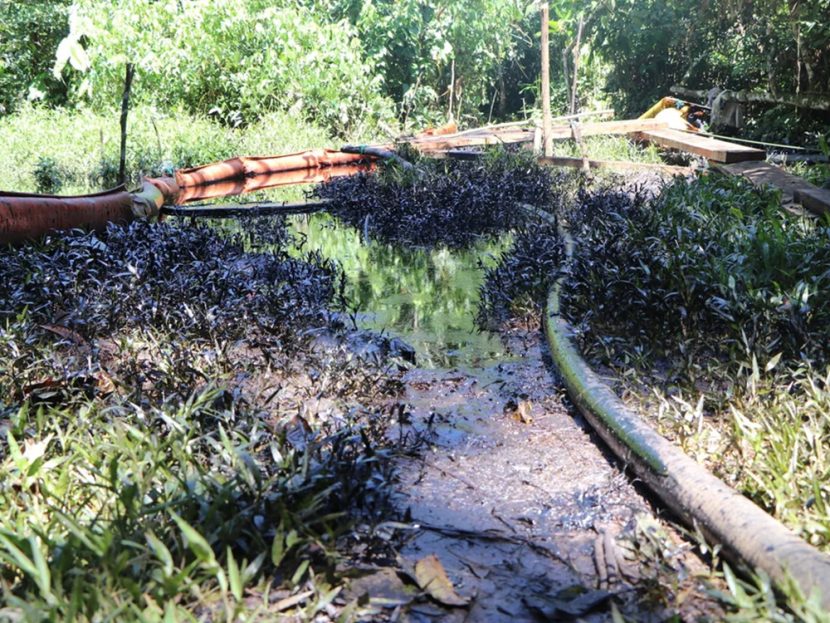 Oil spill in a forest.