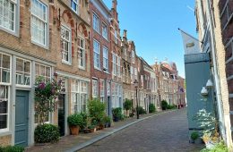 Brick buildings and potted plants line a narrow street.