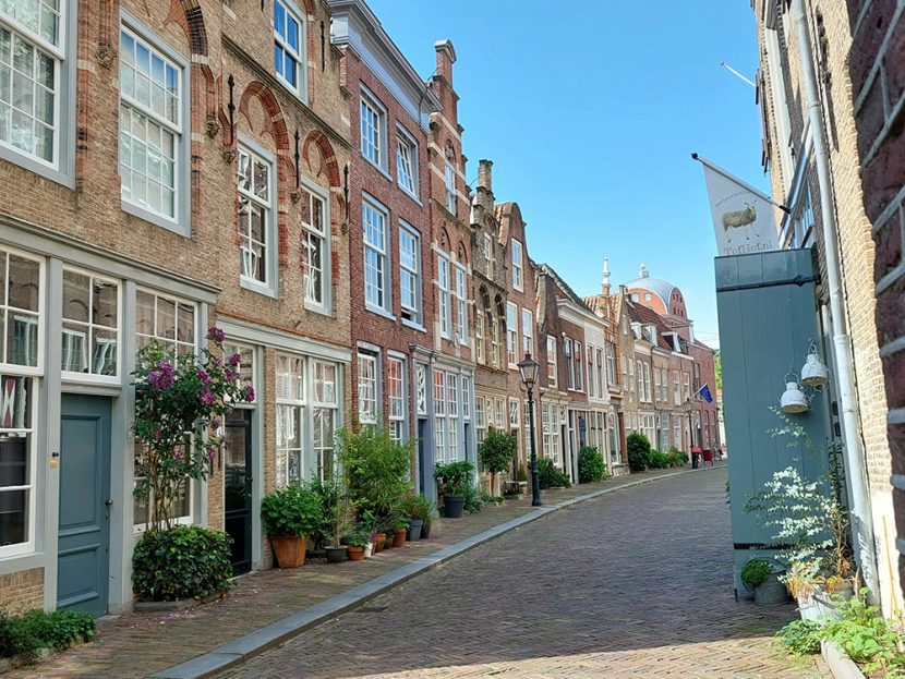 Brick buildings and potted plants line a narrow street.